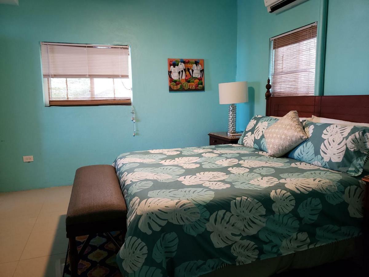 Villa Indigo Sunny 1Br Apartment In Private Gated Estate 夏洛特阿马利亚 外观 照片