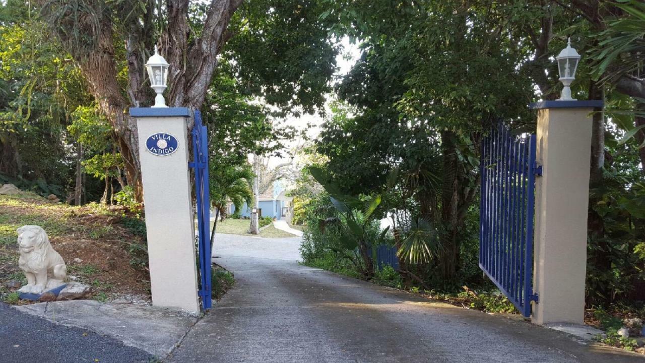 Villa Indigo Sunny 1Br Apartment In Private Gated Estate 夏洛特阿马利亚 外观 照片