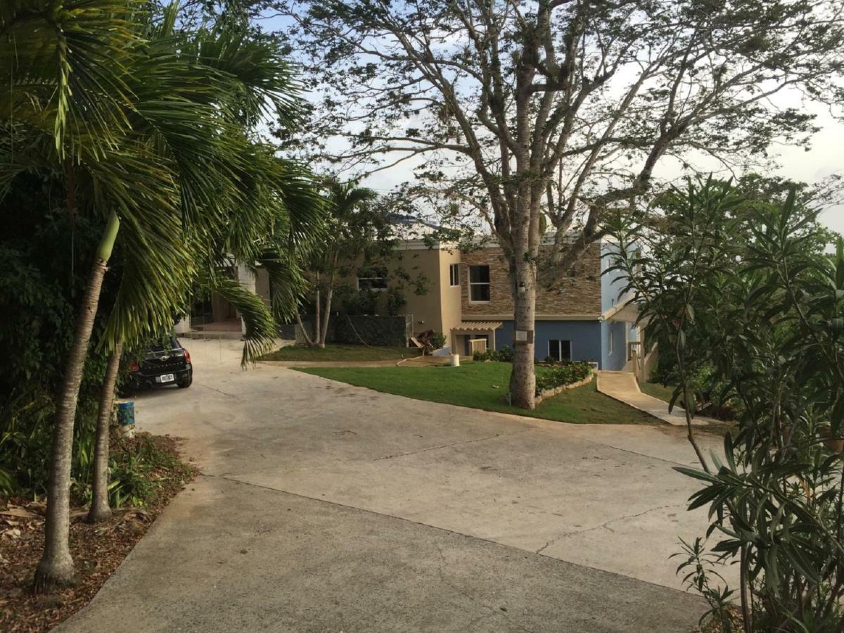Villa Indigo Sunny 1Br Apartment In Private Gated Estate 夏洛特阿马利亚 外观 照片