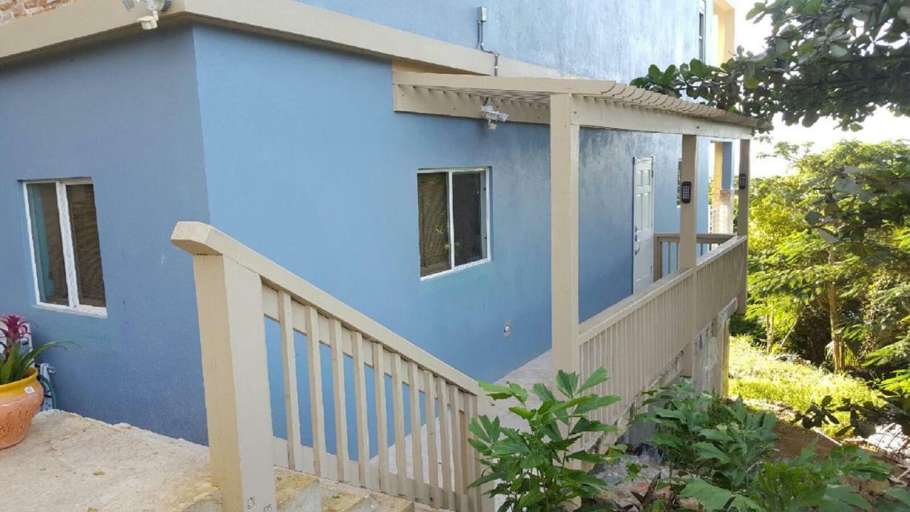 Villa Indigo Sunny 1Br Apartment In Private Gated Estate 夏洛特阿马利亚 外观 照片