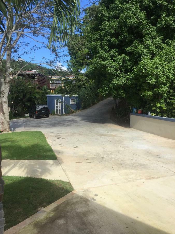 Villa Indigo Sunny 1Br Apartment In Private Gated Estate 夏洛特阿马利亚 外观 照片